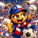 Hincha Pelota